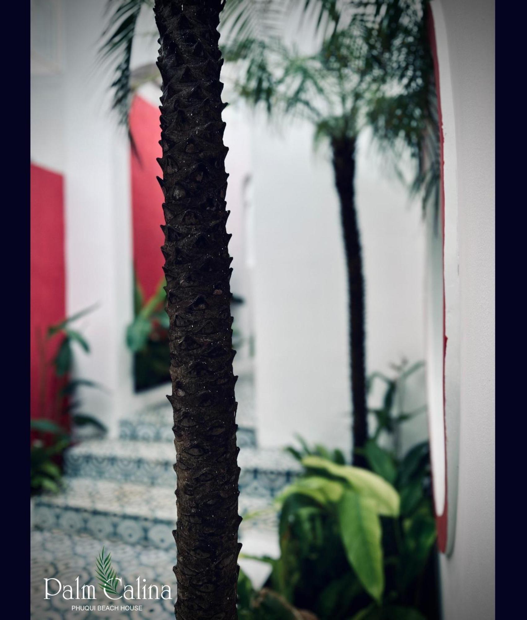 Palmcalina - Phuqui Beach House Cu Lao Thu Exterior photo